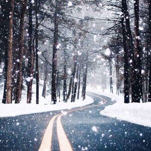 Meet your Posher, Ariel